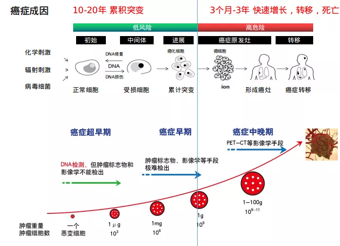 癌症早筛的原理及意义 金弗康生物科技 上海 股份有限公司